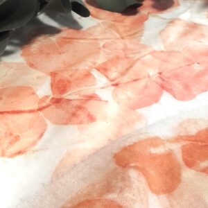 atelier découverte de l'ecoprint, technique développée par India Flint atelier découverte de l'ecoprint, technique développée par India Flint