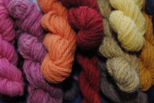 Nuancier de teinture 100% végétale réalisé sur échevettes de laine (laine teintes : écrus ou naturellement teintes pour obtenir des nuances plus foncées comme avec la bizet ou la noire du velay)