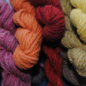 Nuancier de teinture 100% végétale réalisé sur échevettes de laine (laine teintes : écrus ou naturellement teintes pour obtenir des nuances plus foncées comme avec la bizet ou la noire du velay)
