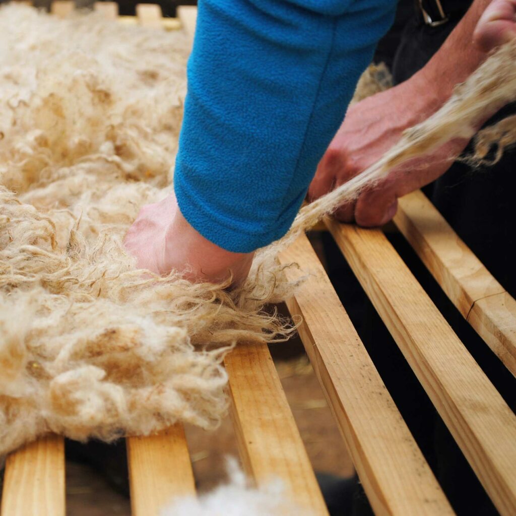 La laine, connaissance théorique et mise en pratique