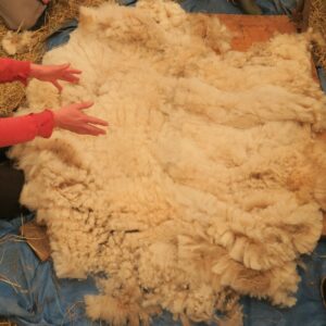 FormationA3 FormationA3