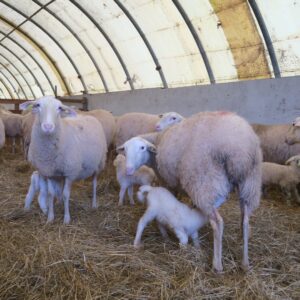 FormationA4 FormationA4